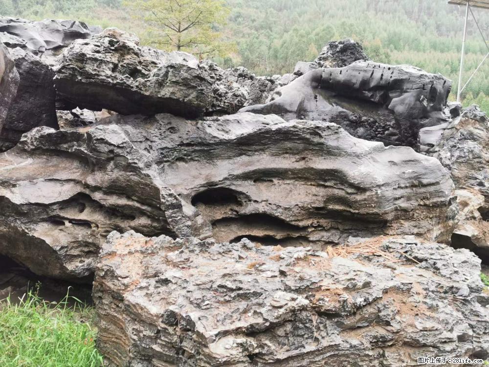 风景石、假山石大量有货，有需要的欢迎联系 - 新手上路 - 河源生活社区 - 河源28生活网 heyuan.28life.net