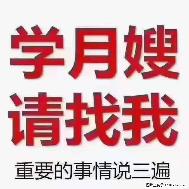 为什么要学习月嫂，育婴师？ - 其他广告 - 广告专区 - 河源分类信息 - 河源28生活网 heyuan.28life.net