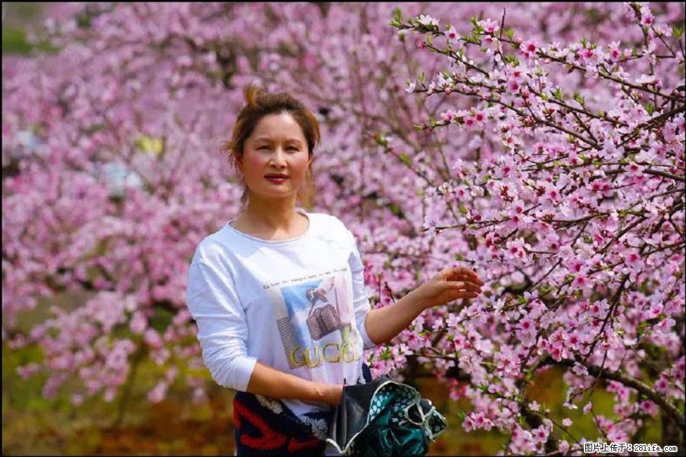 【春天，广西桂林灌阳县向您发出邀请！】官庄村有个醉美的桃花园 - 游山玩水 - 河源生活社区 - 河源28生活网 heyuan.28life.net