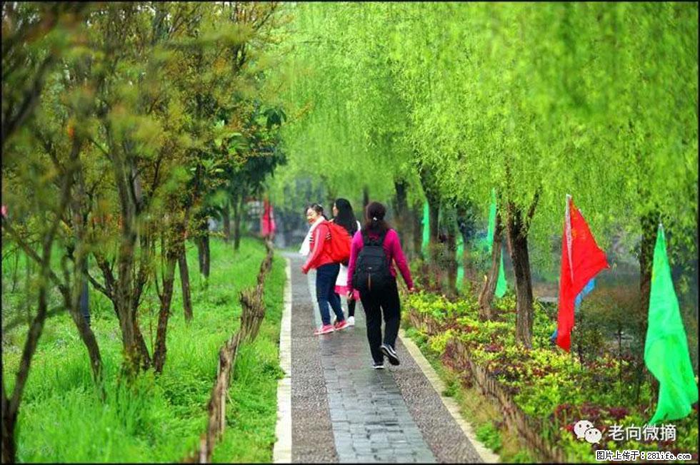 【春天，广西桂林灌阳县向您发出邀请！】江口老街又逢春 - 游山玩水 - 河源生活社区 - 河源28生活网 heyuan.28life.net