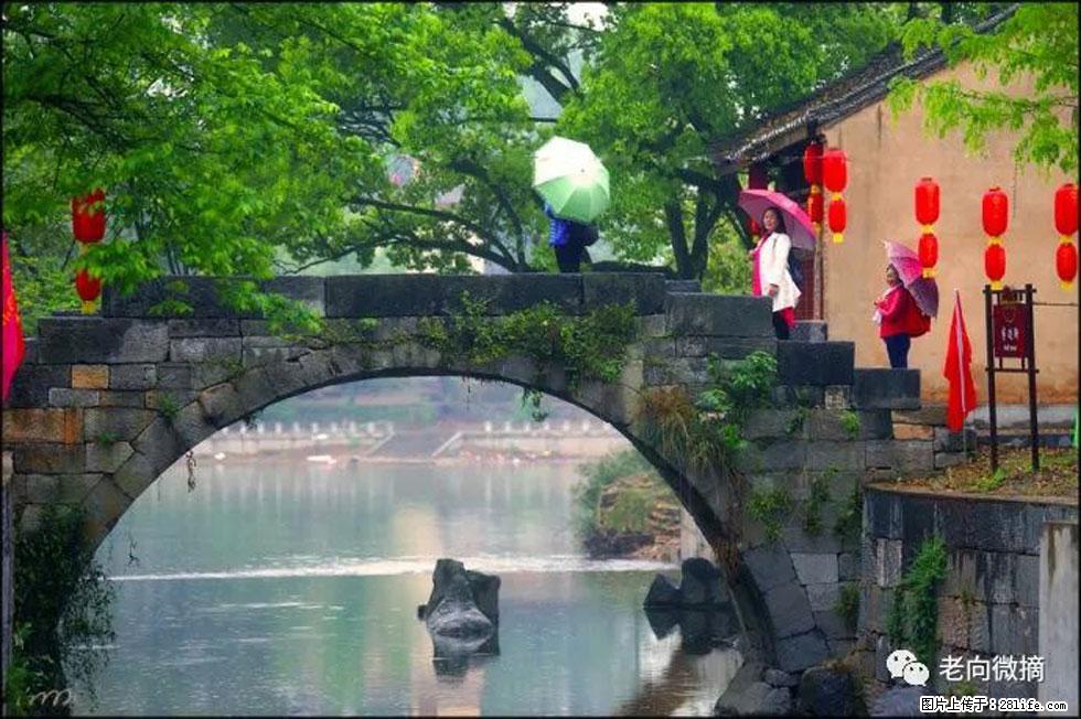【春天，广西桂林灌阳县向您发出邀请！】江口老街又逢春 - 游山玩水 - 河源生活社区 - 河源28生活网 heyuan.28life.net