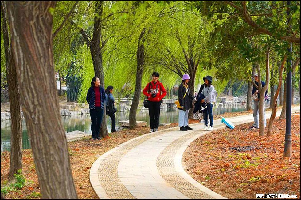 【春天，广西桂林灌阳县向您发出邀请！】江口老街又逢春 - 游山玩水 - 河源生活社区 - 河源28生活网 heyuan.28life.net