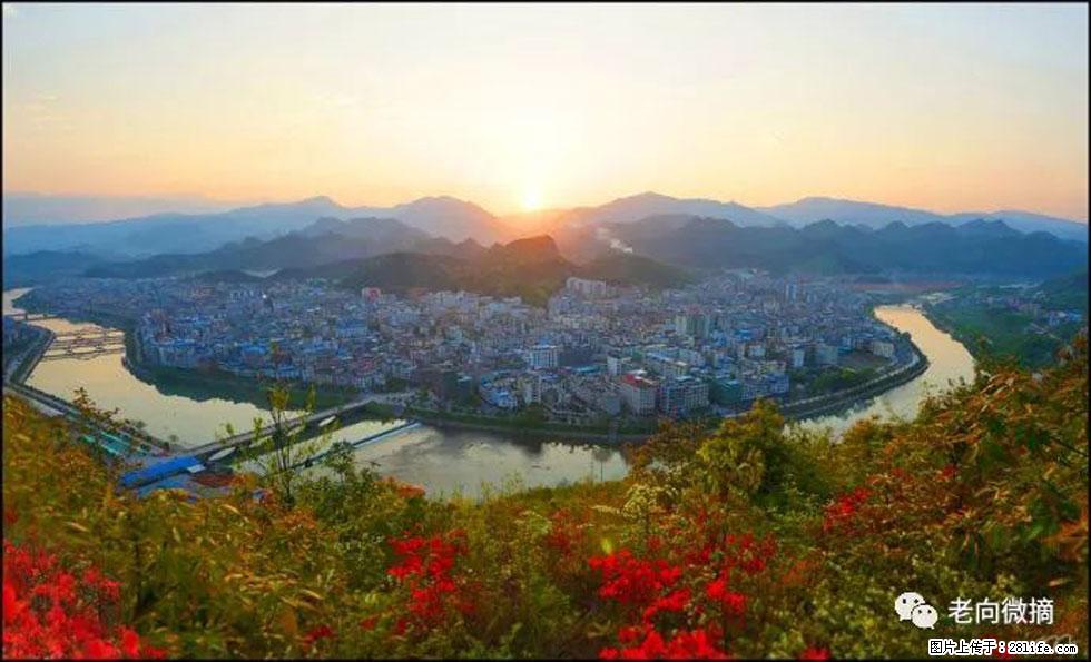 【春天，广西桂林灌阳县向您发出邀请！】登麒麟山，相约映山红 - 游山玩水 - 河源生活社区 - 河源28生活网 heyuan.28life.net