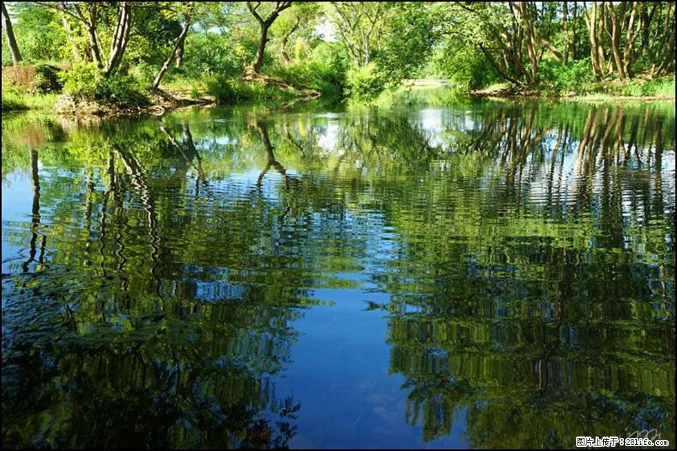 【春天，广西桂林灌阳县向您发出邀请！】熊家寨湿地公园 - 游山玩水 - 河源生活社区 - 河源28生活网 heyuan.28life.net