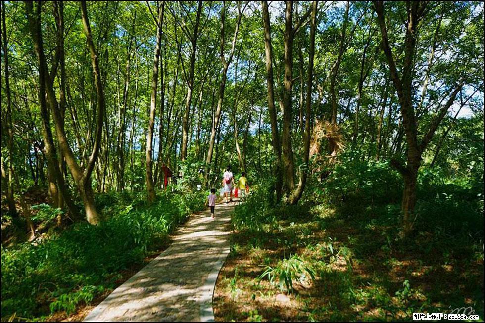 【春天，广西桂林灌阳县向您发出邀请！】熊家寨湿地公园 - 游山玩水 - 河源生活社区 - 河源28生活网 heyuan.28life.net