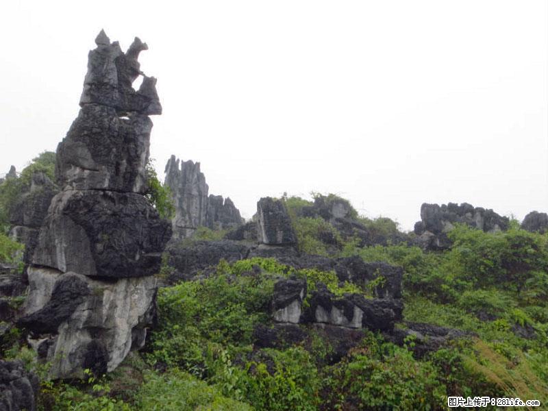 桂林旅游名城景点：灌阳文市石林 - 游山玩水 - 河源生活社区 - 河源28生活网 heyuan.28life.net