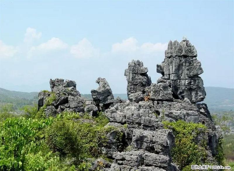 桂林旅游名城景点：灌阳文市石林 - 游山玩水 - 河源生活社区 - 河源28生活网 heyuan.28life.net