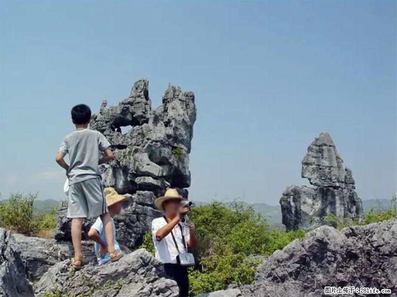 桂林旅游名城景点：灌阳文市石林 - 游山玩水 - 河源生活社区 - 河源28生活网 heyuan.28life.net