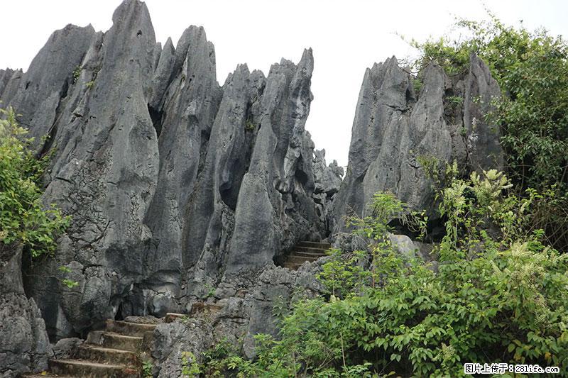 桂林旅游名城景点：灌阳文市石林 - 游山玩水 - 河源生活社区 - 河源28生活网 heyuan.28life.net