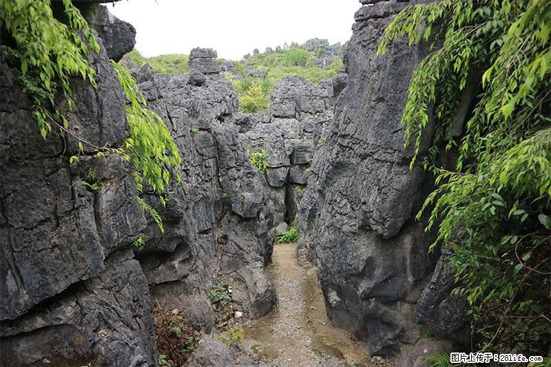 桂林旅游名城景点：灌阳文市石林 - 游山玩水 - 河源生活社区 - 河源28生活网 heyuan.28life.net