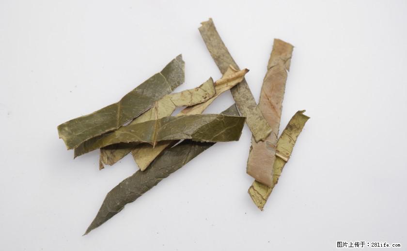 苦丁茶有哪些功效和作用 - 生活百科 - 河源生活社区 - 河源28生活网 heyuan.28life.net
