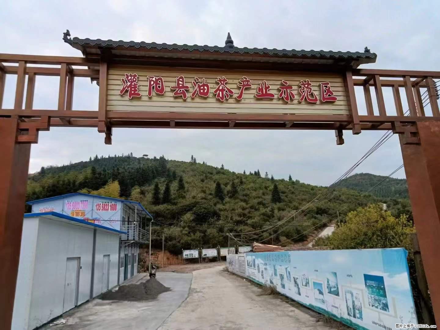 【灌阳县油茶产业示范区】一个有着充实的精神生活的人，对待身外之物自会有一种淡泊的态度 - 土特产 - 饮食特产 - 河源分类信息 - 河源28生活网 heyuan.28life.net