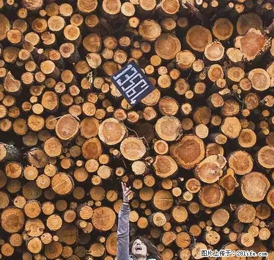 辞掉工作周游世界？现在他们在洗厕所…… - 游山玩水 - 河源生活社区 - 河源28生活网 heyuan.28life.net