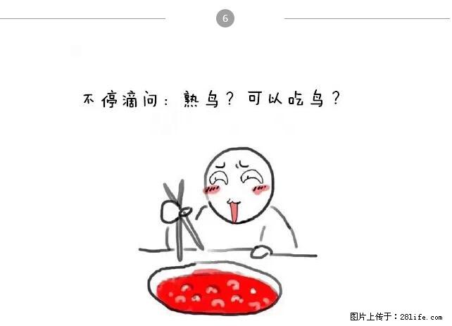 千万不要和这9种哈卵一起吃火锅！ - 美食天地 - 河源生活社区 - 河源28生活网 heyuan.28life.net