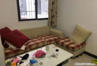 出租、建设大道，火车站旁福新大厦、精装两房1500月看房方便 - 河源28生活网 heyuan.28life.net