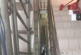 金沟湾自建房，整栋出租1300元 - 河源28生活网 heyuan.28life.net