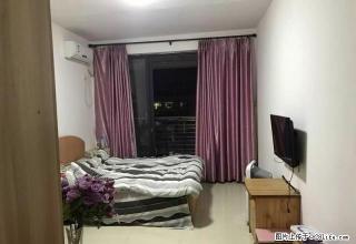 17.11.12出租义乌一房 家私电齐全 直接入住 - 河源28生活网 heyuan.28life.net
