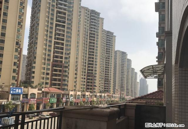 雅居乐 2房2厅 出租1300元.有图片.要的赶紧了 - 房屋出租 - 房屋租售 - 河源分类信息 - 河源28生活网 heyuan.28life.net