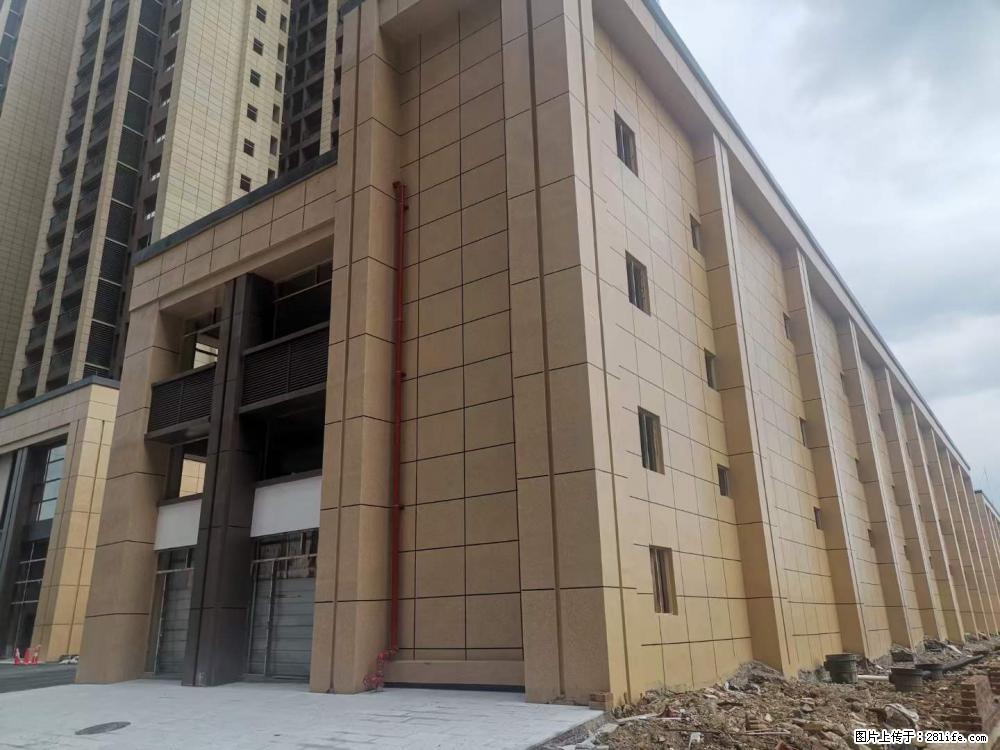 【广西三象建筑安装工程有限公司】外墙涂料工程 - 新手上路 - 河源生活社区 - 河源28生活网 heyuan.28life.net