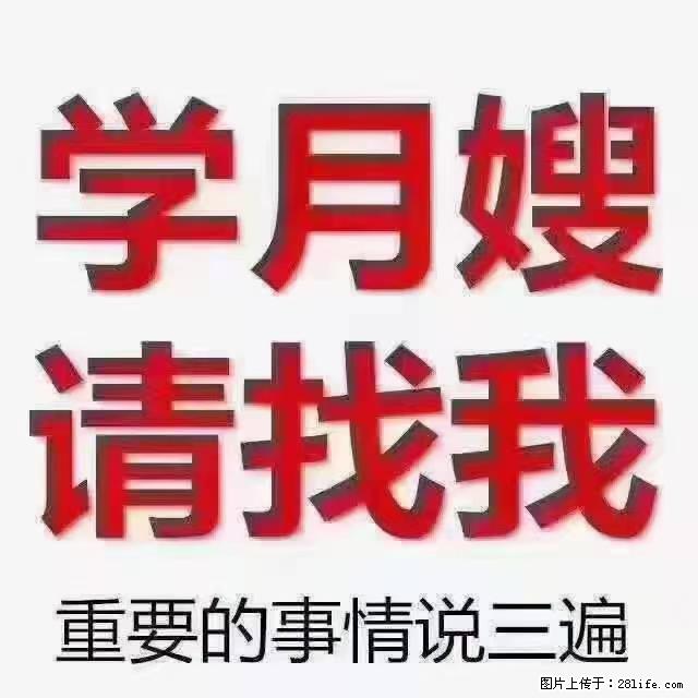 【招聘】月嫂，上海徐汇区 - 职场交流 - 河源生活社区 - 河源28生活网 heyuan.28life.net
