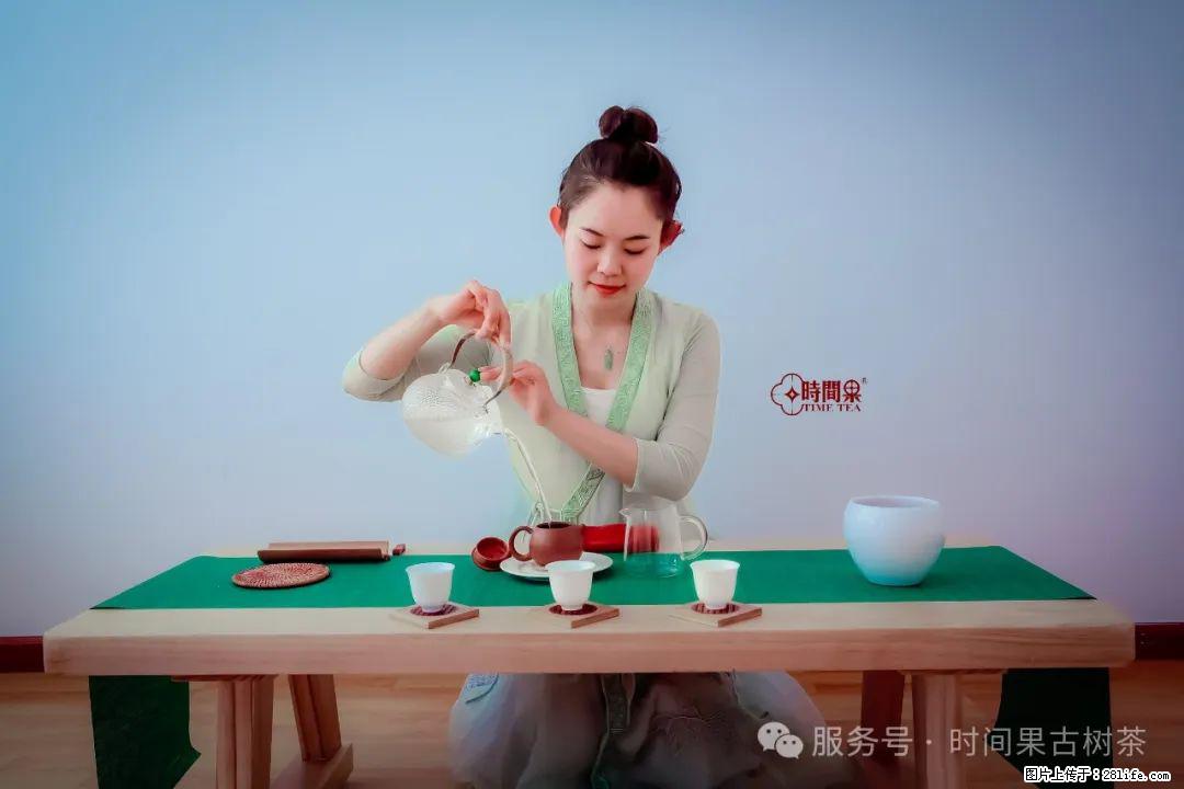 时间果百年古树龙珠普洱生茶 - 购物交流 - 河源生活社区 - 河源28生活网 heyuan.28life.net