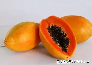 晕车、脚气、牙齿变黄、皮肤粗糙？学会这些三分钟搞定！ - 河源生活资讯 - 河源28生活网 heyuan.28life.net