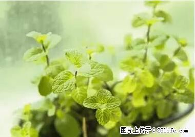 晕车、脚气、牙齿变黄、皮肤粗糙？学会这些三分钟搞定！ - 河源生活资讯 - 河源28生活网 heyuan.28life.net