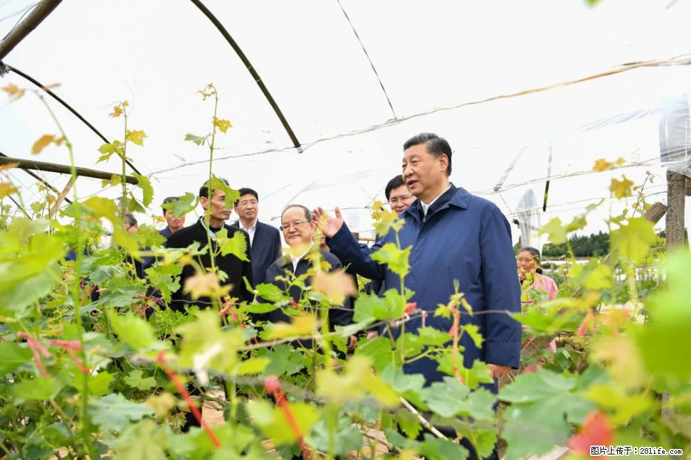 习近平赴广西考察调研 - 河源生活资讯 - 河源28生活网 heyuan.28life.net