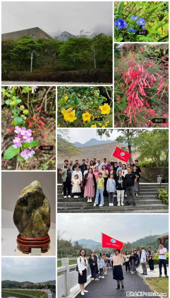 “粤灌文化 美好生活”油茶文化主题活动在广东深圳成功举办 - 河源生活资讯 - 河源28生活网 heyuan.28life.net