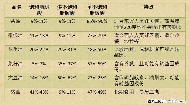 揭秘茶油的5大核心营养成分！被称为人体健康的“守护盾”！ - 河源生活资讯 - 河源28生活网 heyuan.28life.net