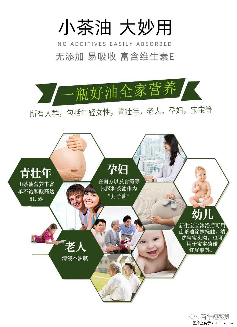 世界没有真相，只有认知，最好的食用油是中国的山茶油！ - 河源生活资讯 - 河源28生活网 heyuan.28life.net