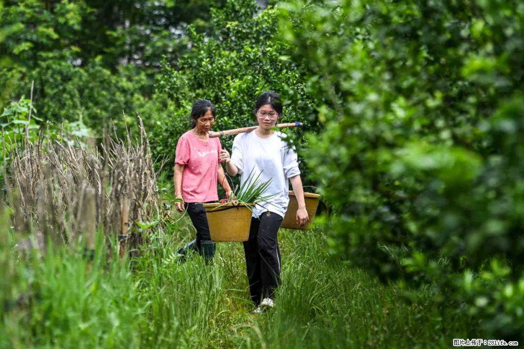 全网追的“扁担女孩”，找了一份暑假工，时薪12元 - 河源生活资讯 - 河源28生活网 heyuan.28life.net