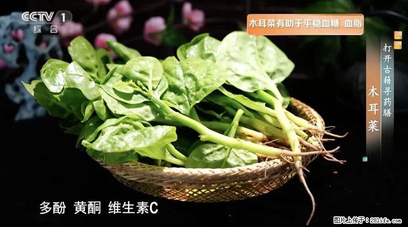 比牛奶补钙还厉害！凉血解毒、稳血糖...这菜冬天必吃，很多人却当草 - 河源生活资讯 - 河源28生活网 heyuan.28life.net