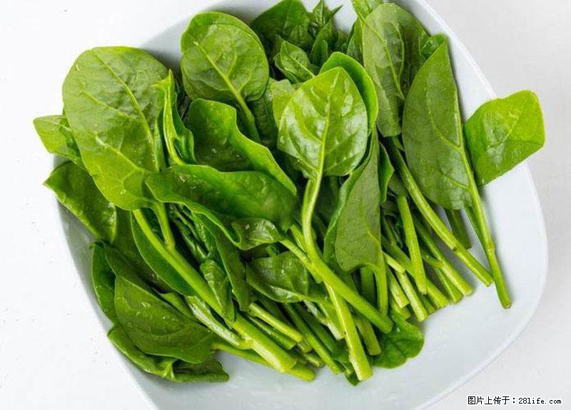 这些蔬菜是“天然钙片”，这6种被医生重点推荐 - 河源生活资讯 - 河源28生活网 heyuan.28life.net