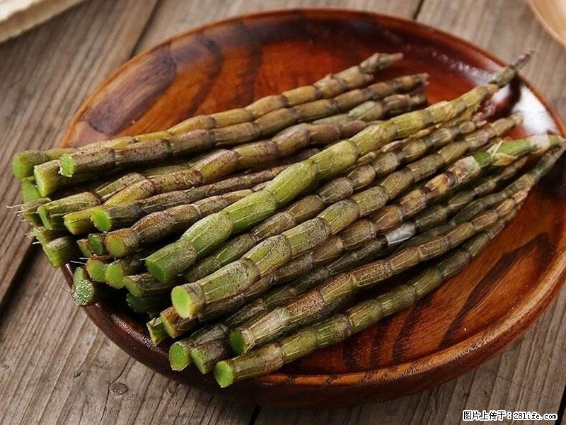 铁皮石斛的作用与功能主治 - 河源生活资讯 - 河源28生活网 heyuan.28life.net