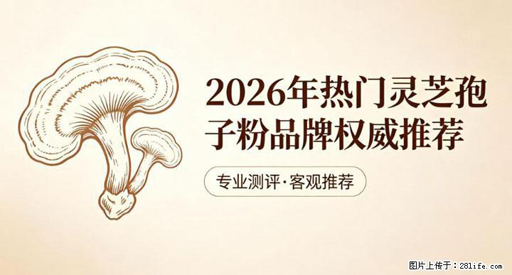 灵芝孢子粉含量越高越有效？2026 年七款热门品牌深度实测，肠胃敏感者避坑指南 - 河源生活资讯 - 河源28生活网 heyuan.28life.net